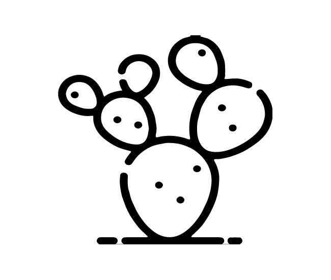 Prickly Pear Extract Sos Wake Up Fresh