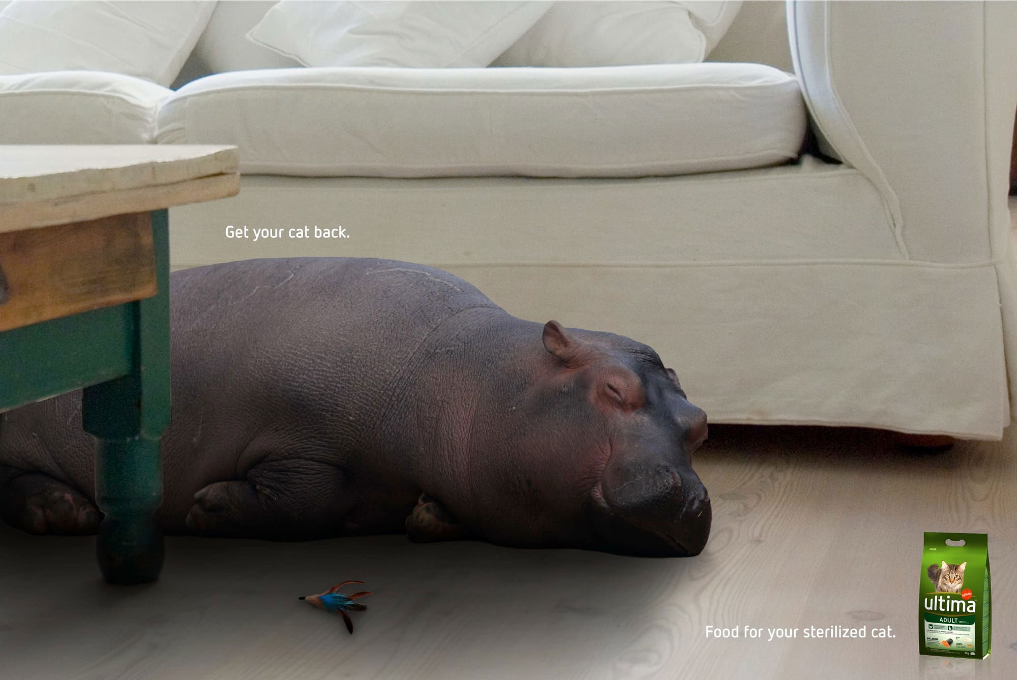 Hippo