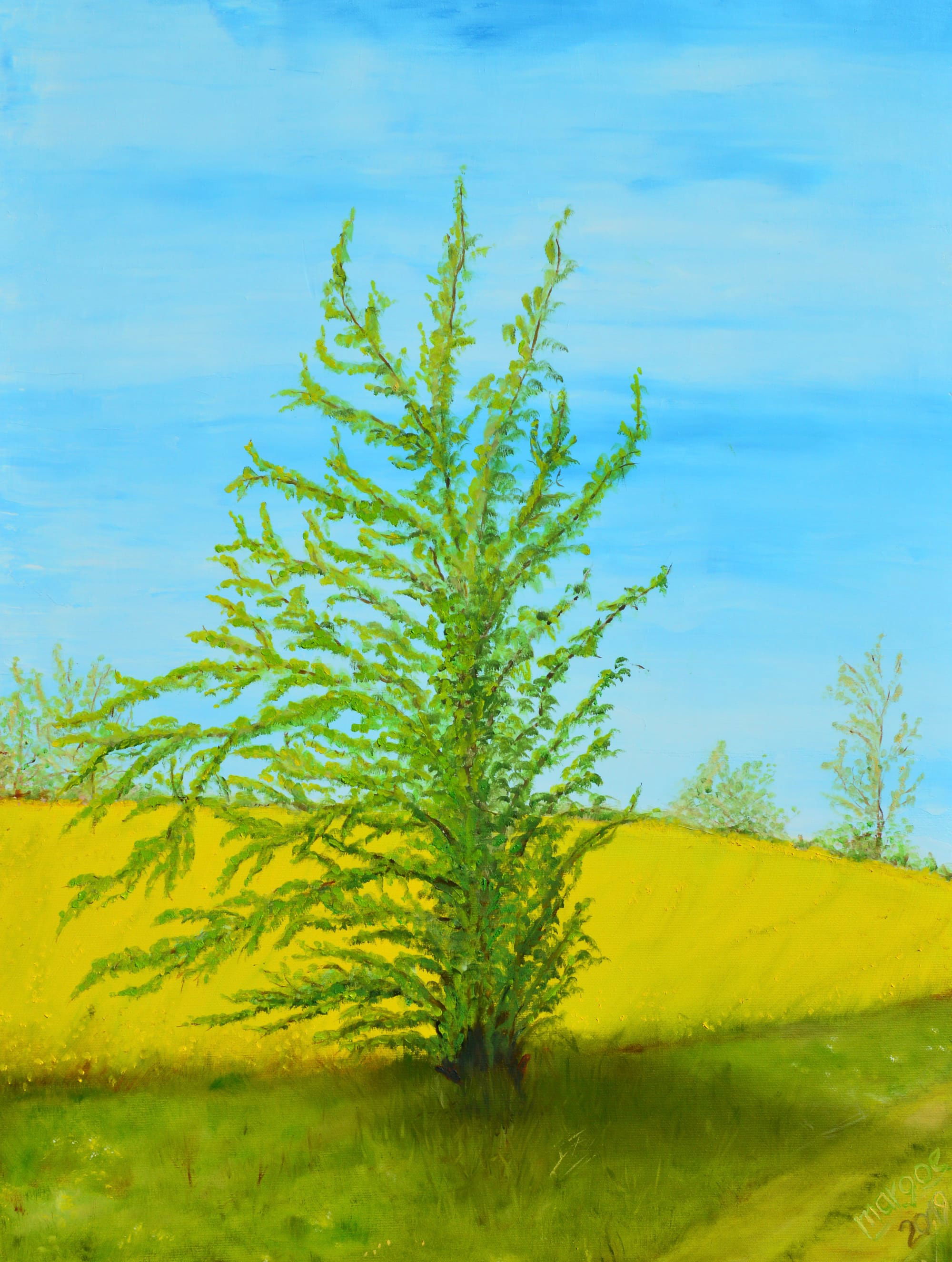 Der schiefe Baum von Marxhagen, 80 x 60 cm - Öl auf Leinwand, (2019)