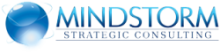 Mind Storm Consulting Firm