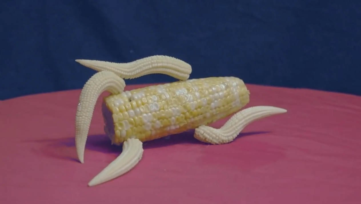 Cornhub cornhub