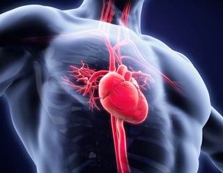 علاج القلب بالخلايا الجذعية