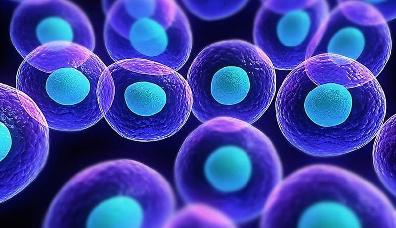 أساليب العلاج المتبعة بالخلايا الجذعية