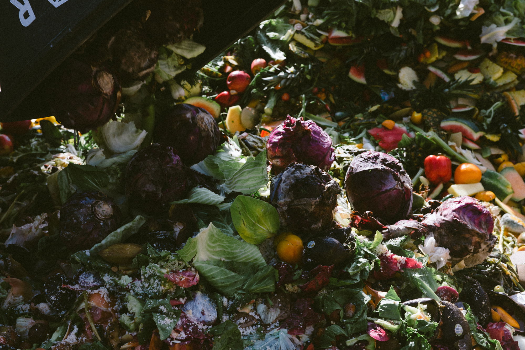 Food scraps collected by Rust Belt Riders