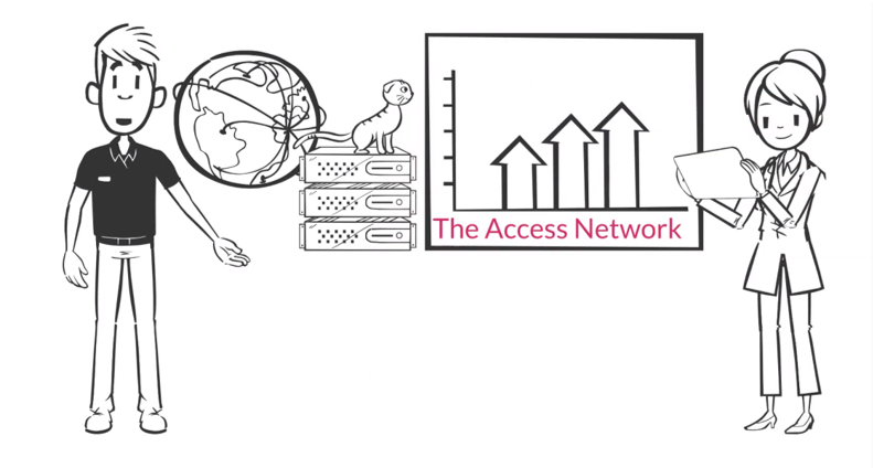 Why focus on the access network?