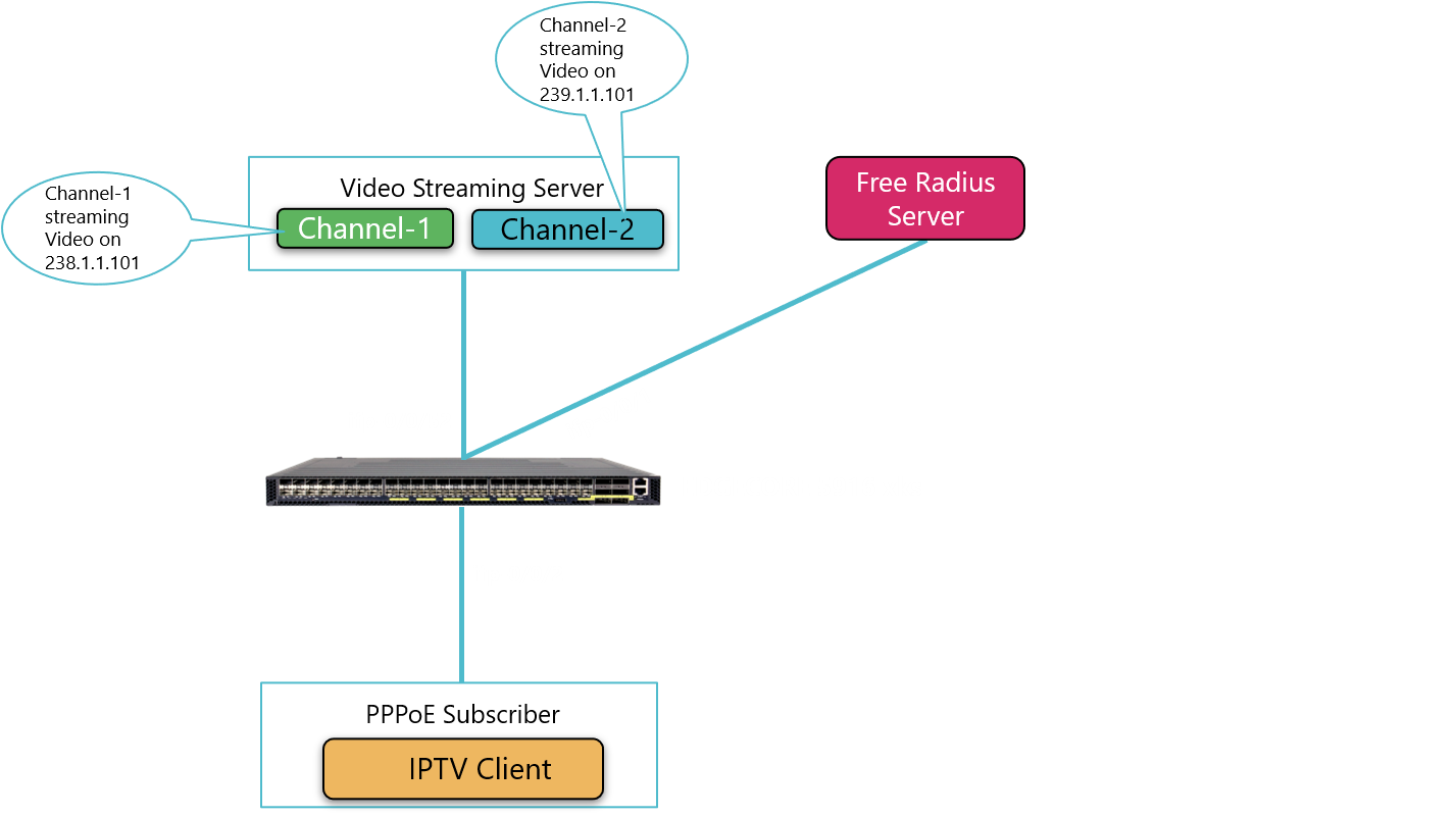 IPTV Service in action on a software BNG