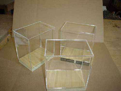 Plexiglass box with base
