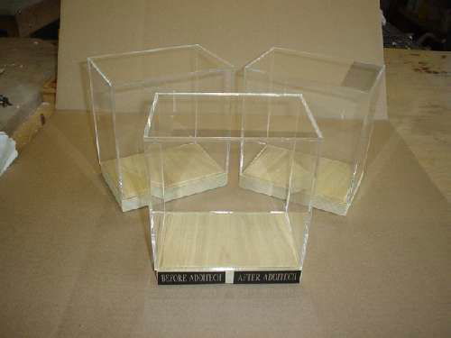 Acrylic box with wooden base