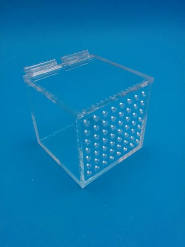 Plexiglass testing box