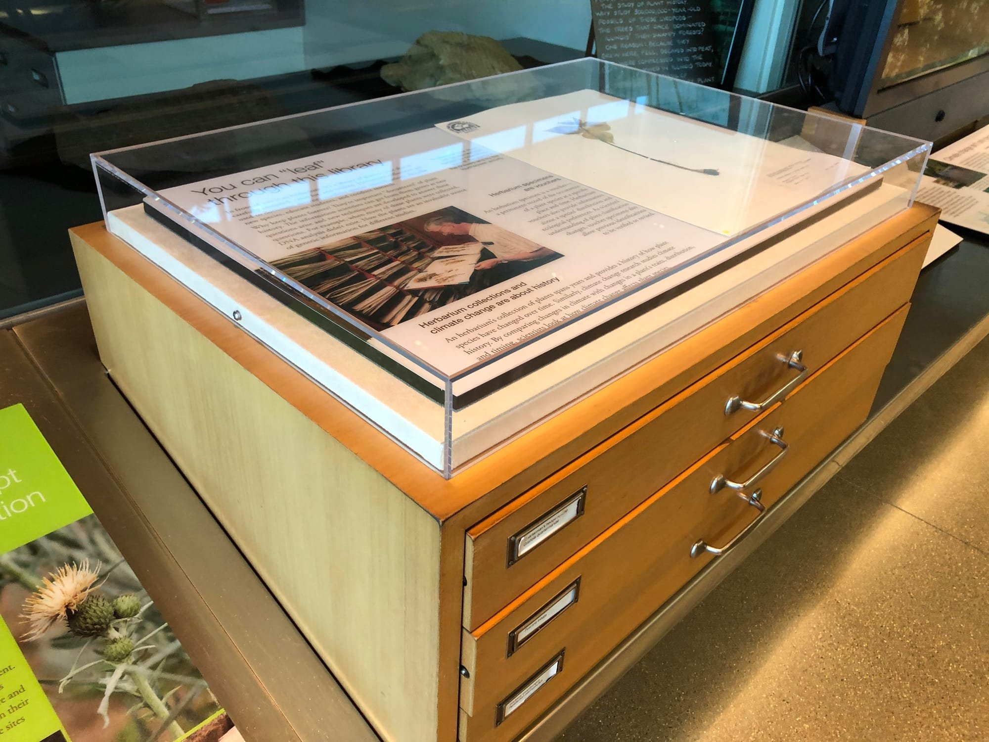 Custom Museum Quality Acrylic Cover with Secure Screws on Wooden Drawer Unit