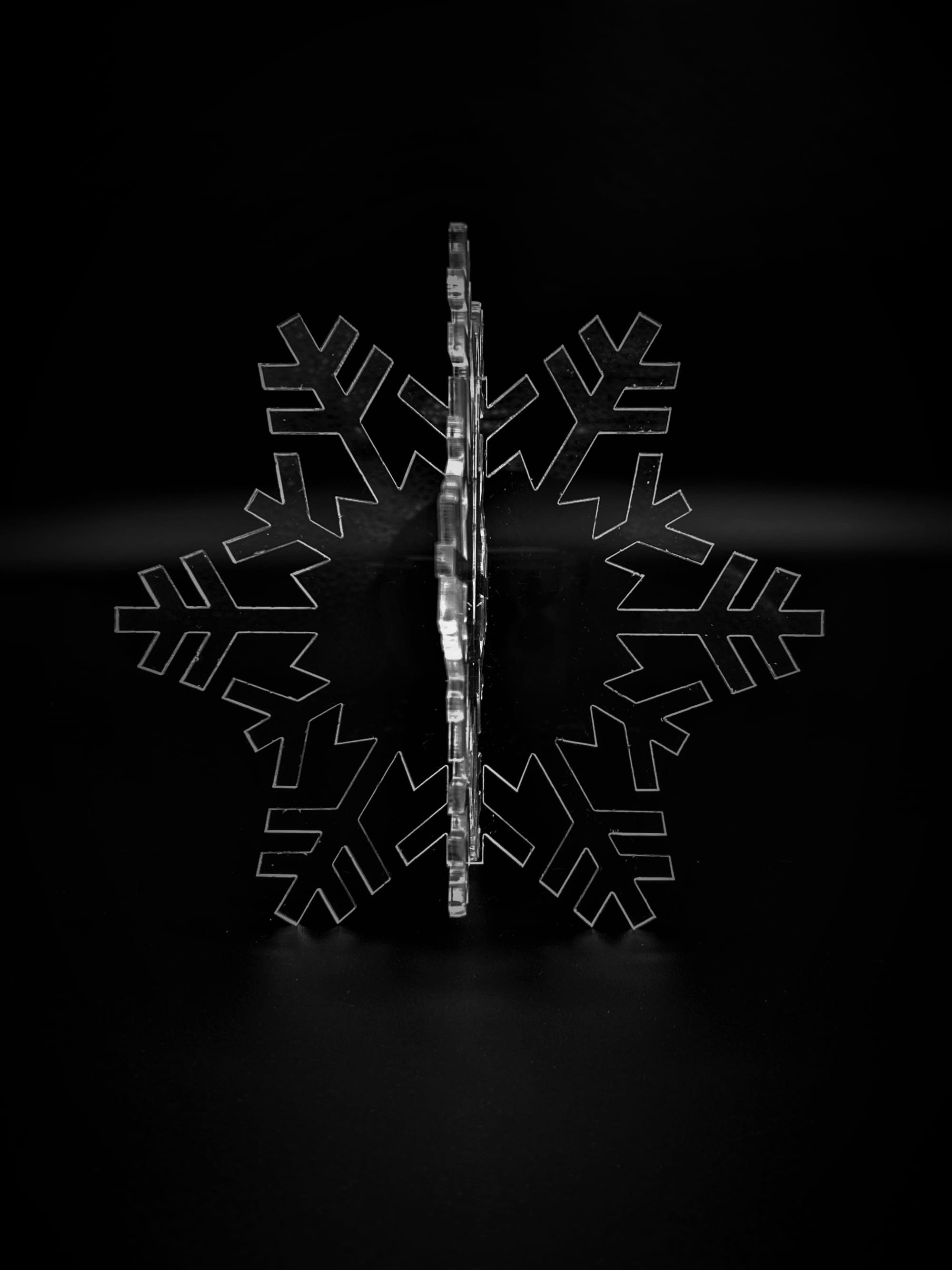 Acrylics: Snowflakes (demonstration)