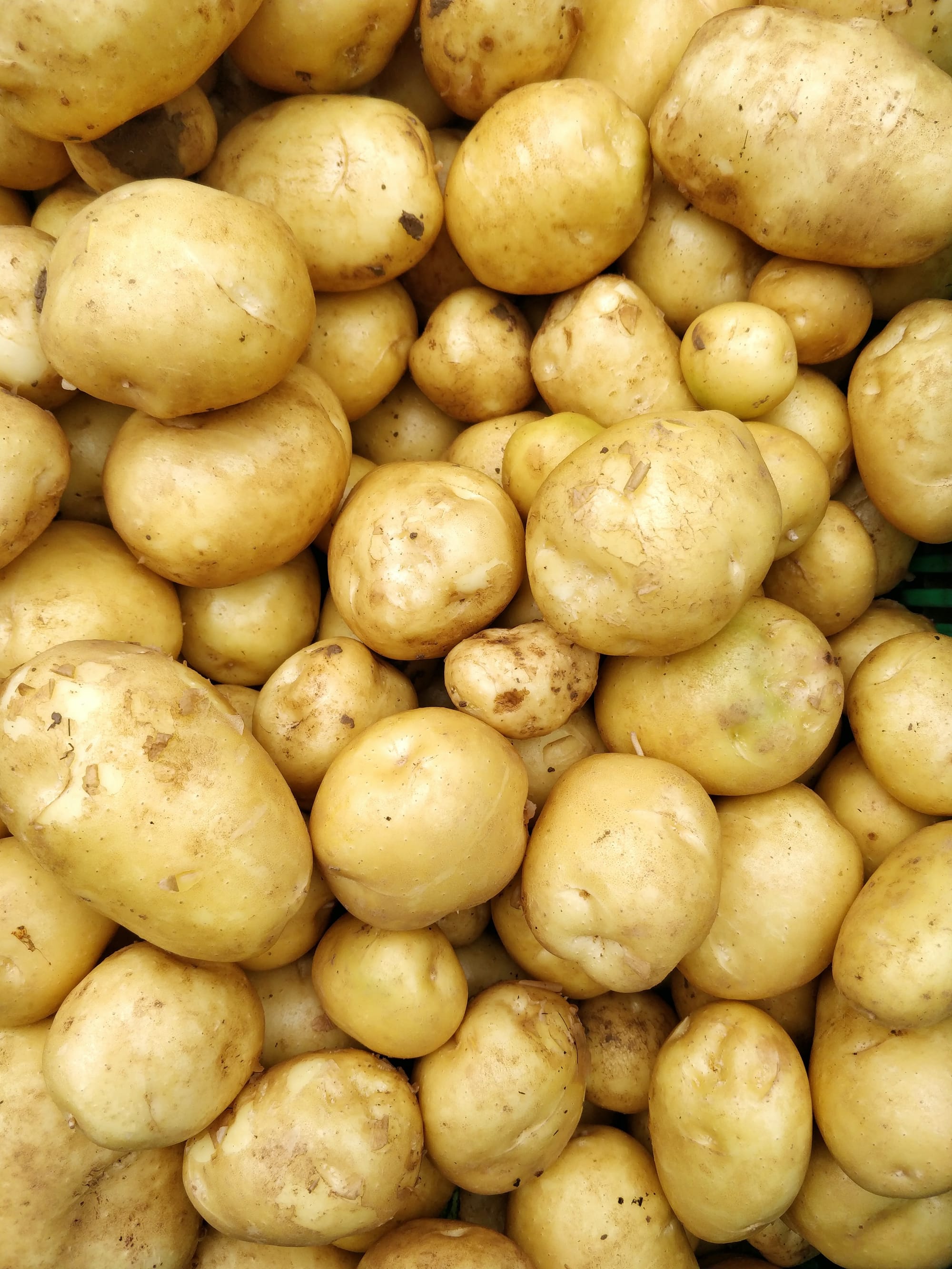 Herbed potato Salad