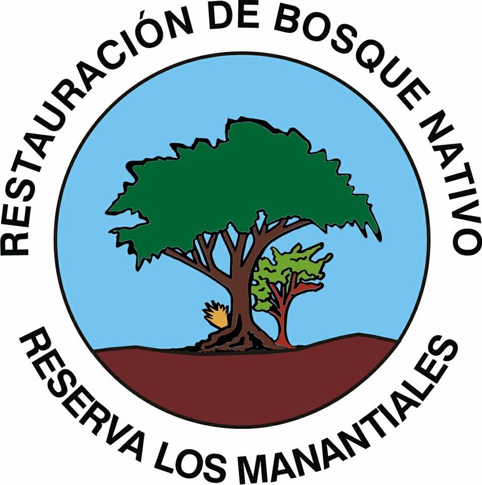 Restauración de Bosque Nativo Los Manantiales