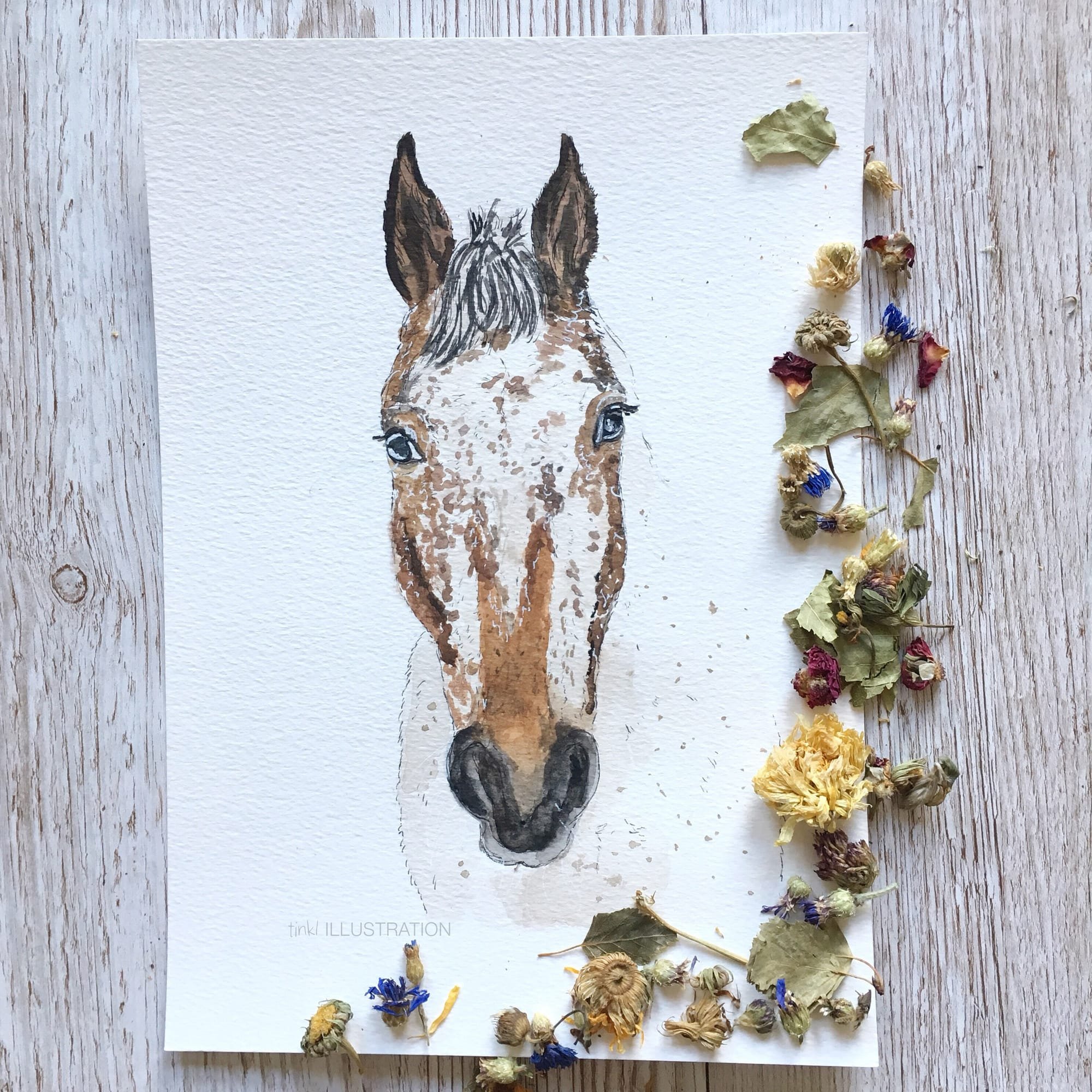 Horse Portrait "Tio"