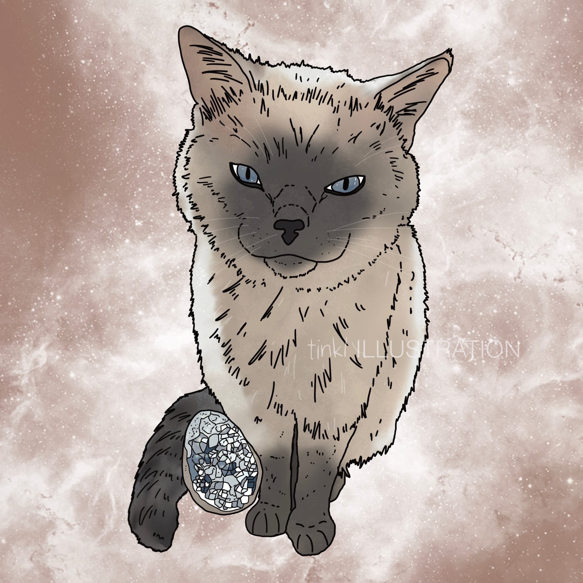 Custom Cat Portrait With Celestite