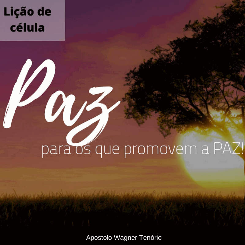 Paz Para Os Que Promovem A Paz!