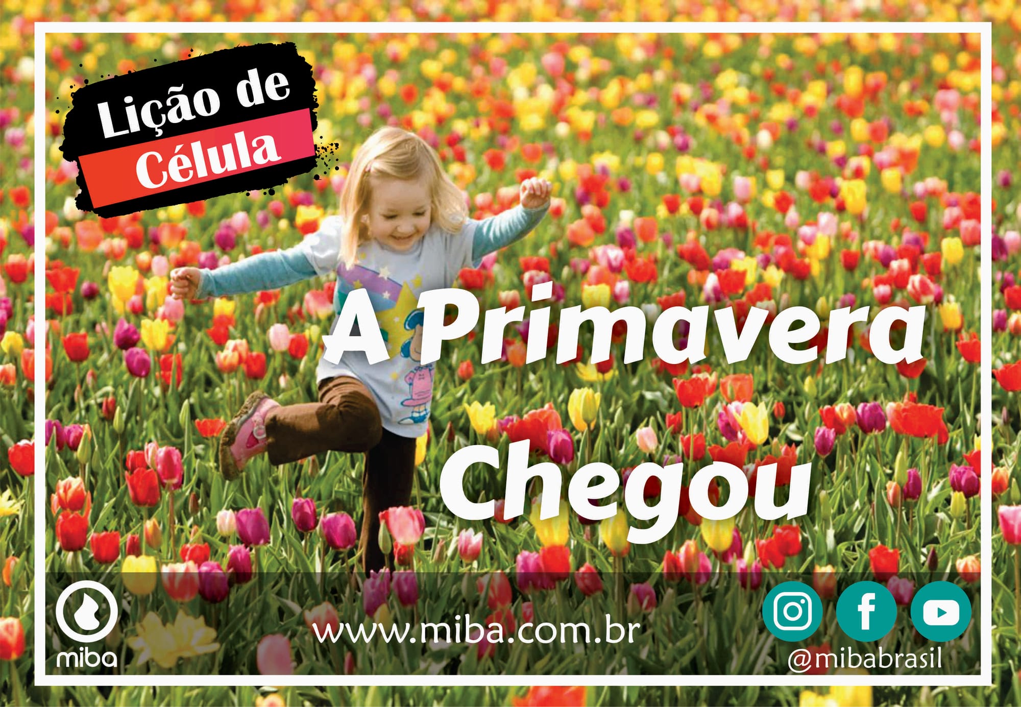 A Primavera Chegou