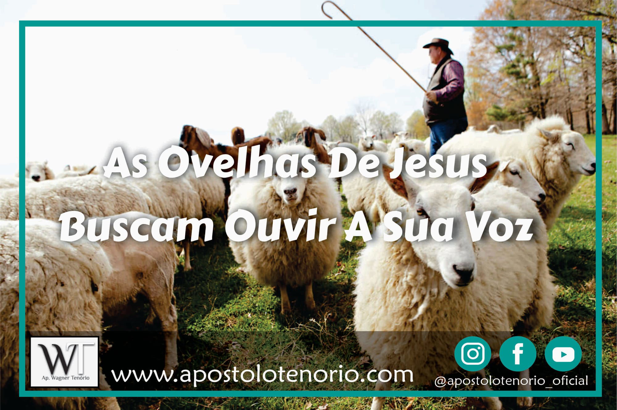 As Ovelhas De Jesus Buscam Ouvir A Sua Voz