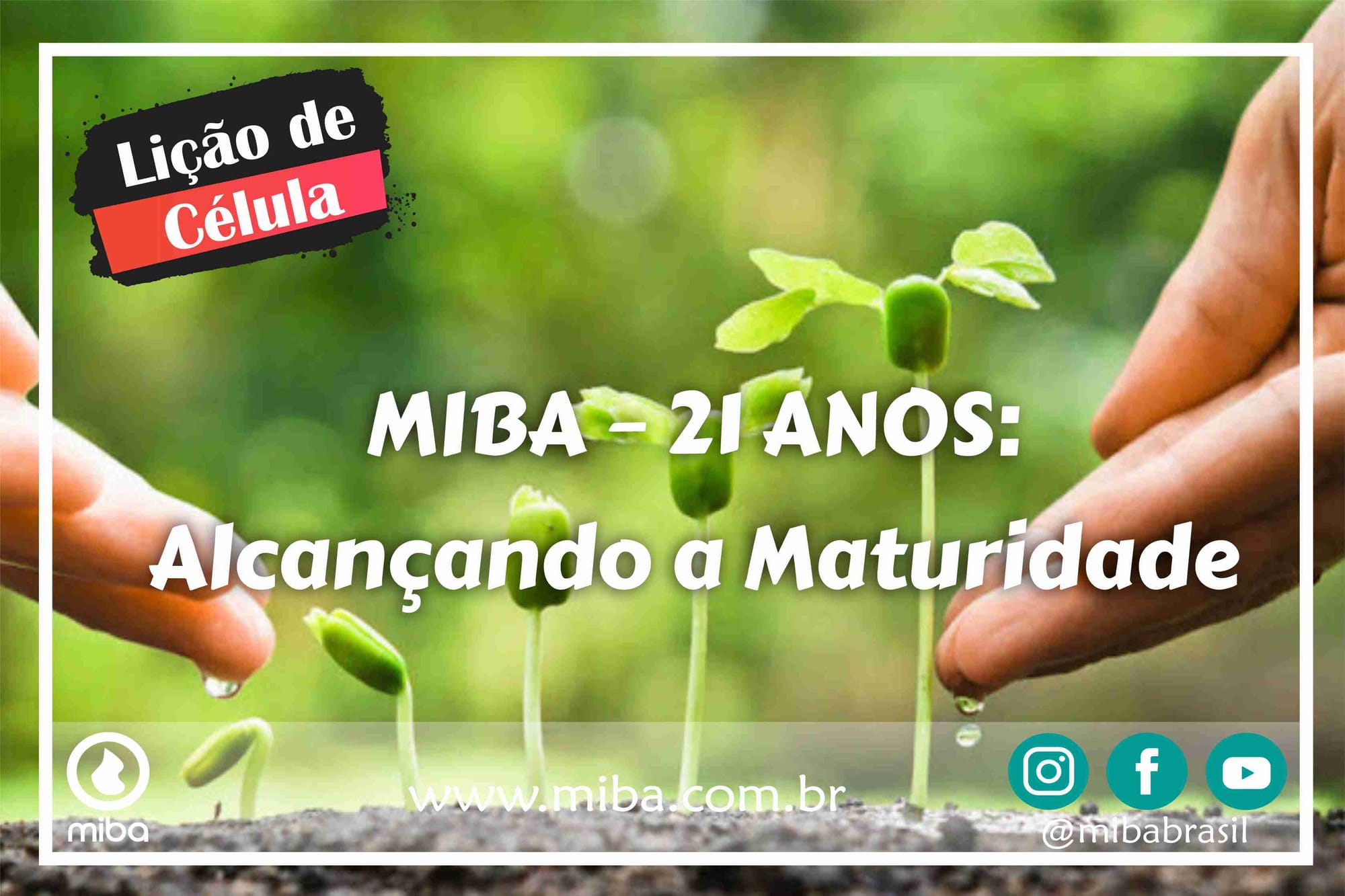 MIBA – 21 ANOS: Alcançando a Maturidade