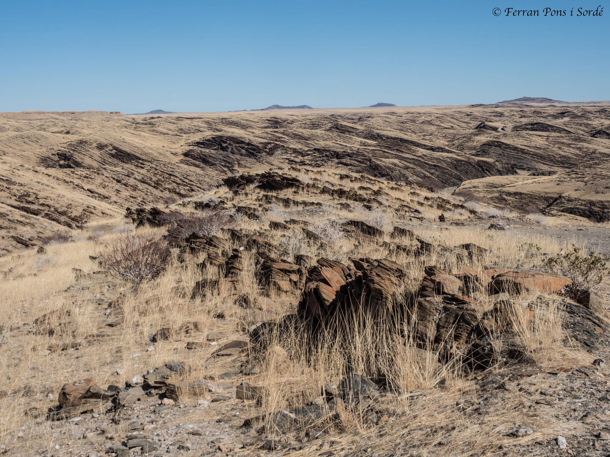 Desert del Namíb