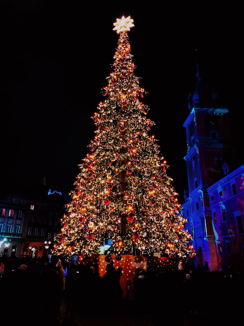 MAYFAIR CHRISTMAS VILLAGE & TREE LIGHTING