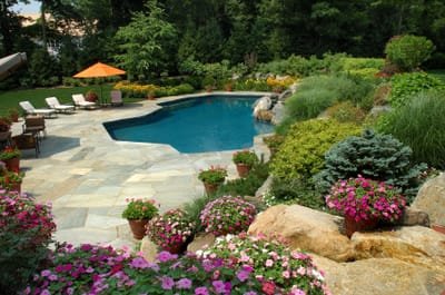 How To Choose The Right Landscaping Company  image