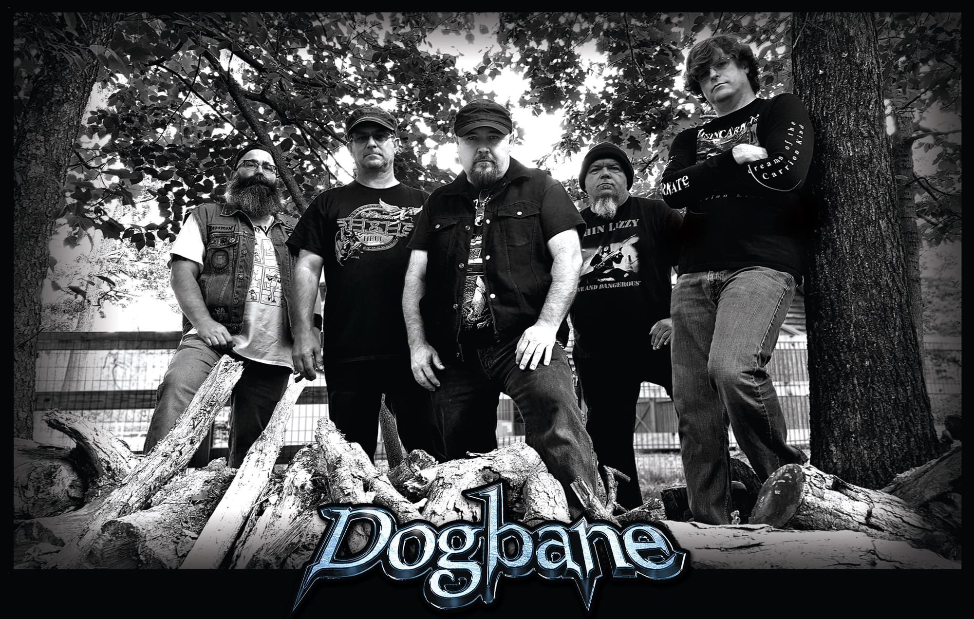 Interview with DOGBANE