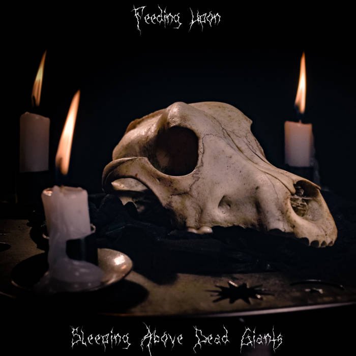 Interview with FEEDING UPON