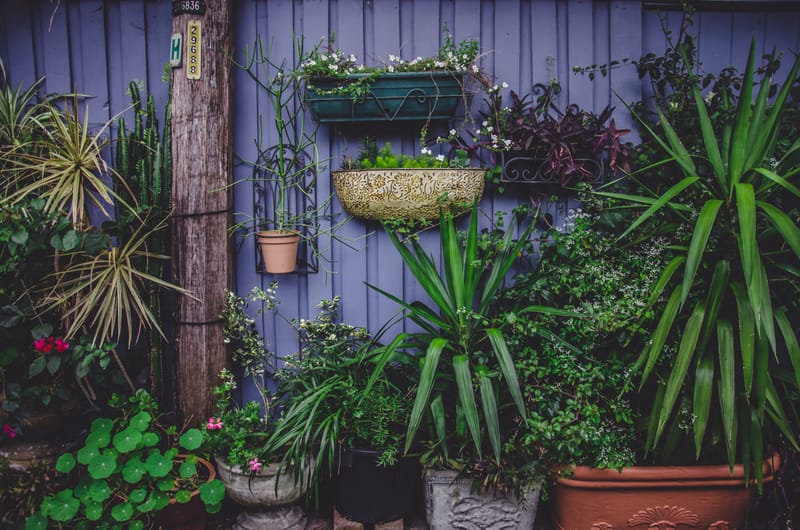 Landscaping