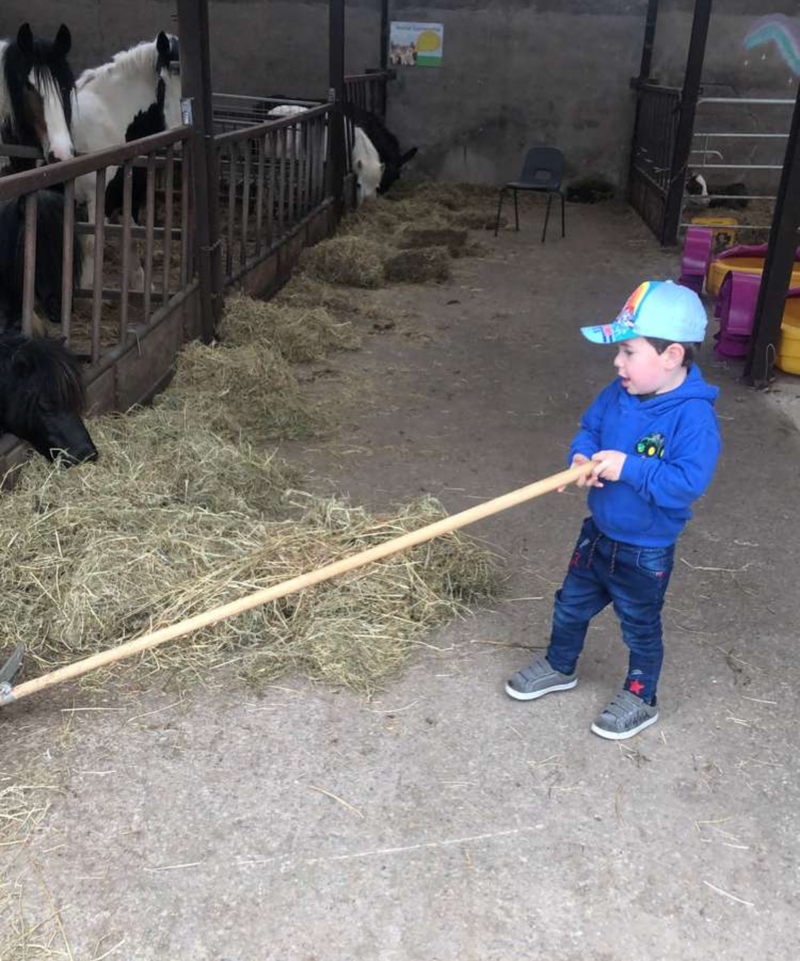 Be a farmer experience Fermanagh Fun Farm