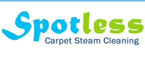 Spotless Carpet Steam Cleaning