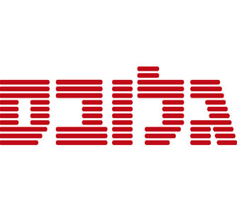 Professional article