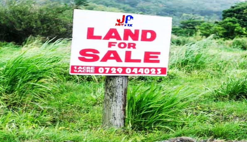 PLOTS FOR SALE.