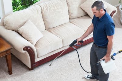 Benefits of Hiring Professional Carpet Cleaning Services image