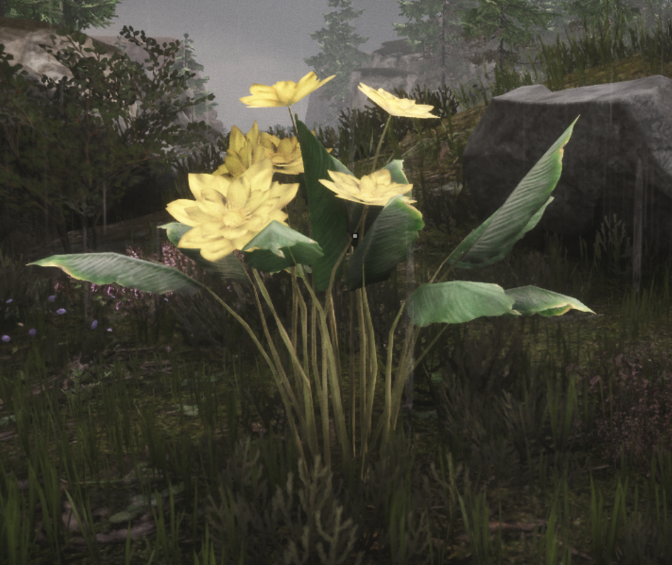 Lotus conan exiles