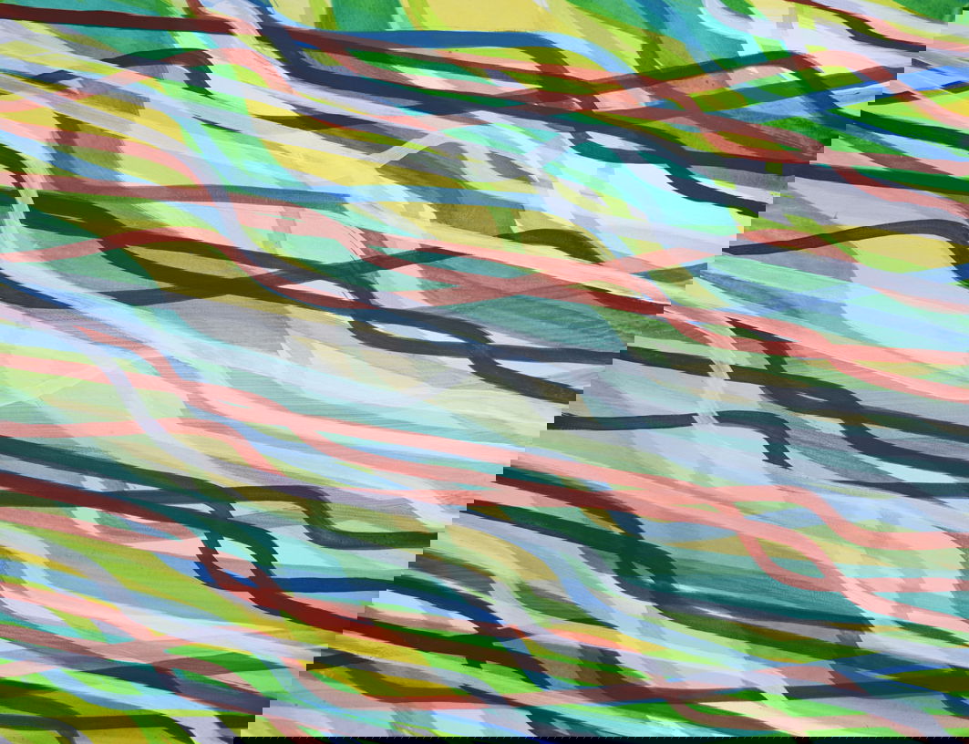 Black Forest Abstractions - Holunderblüten
