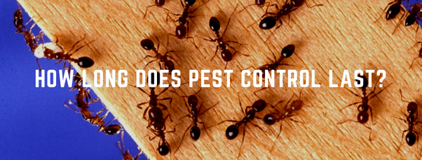 HOW LONG DOES PEST CONTROL USUALLY TAKE?