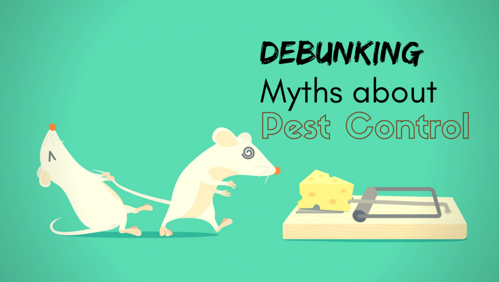 Pest Removal Myths