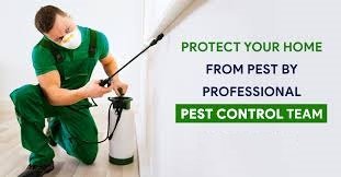 PEST CONTROL TO PROTECT YOUR HOME AND HEALTH