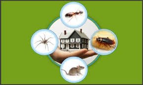 Three Principles to a Pest Free Environment