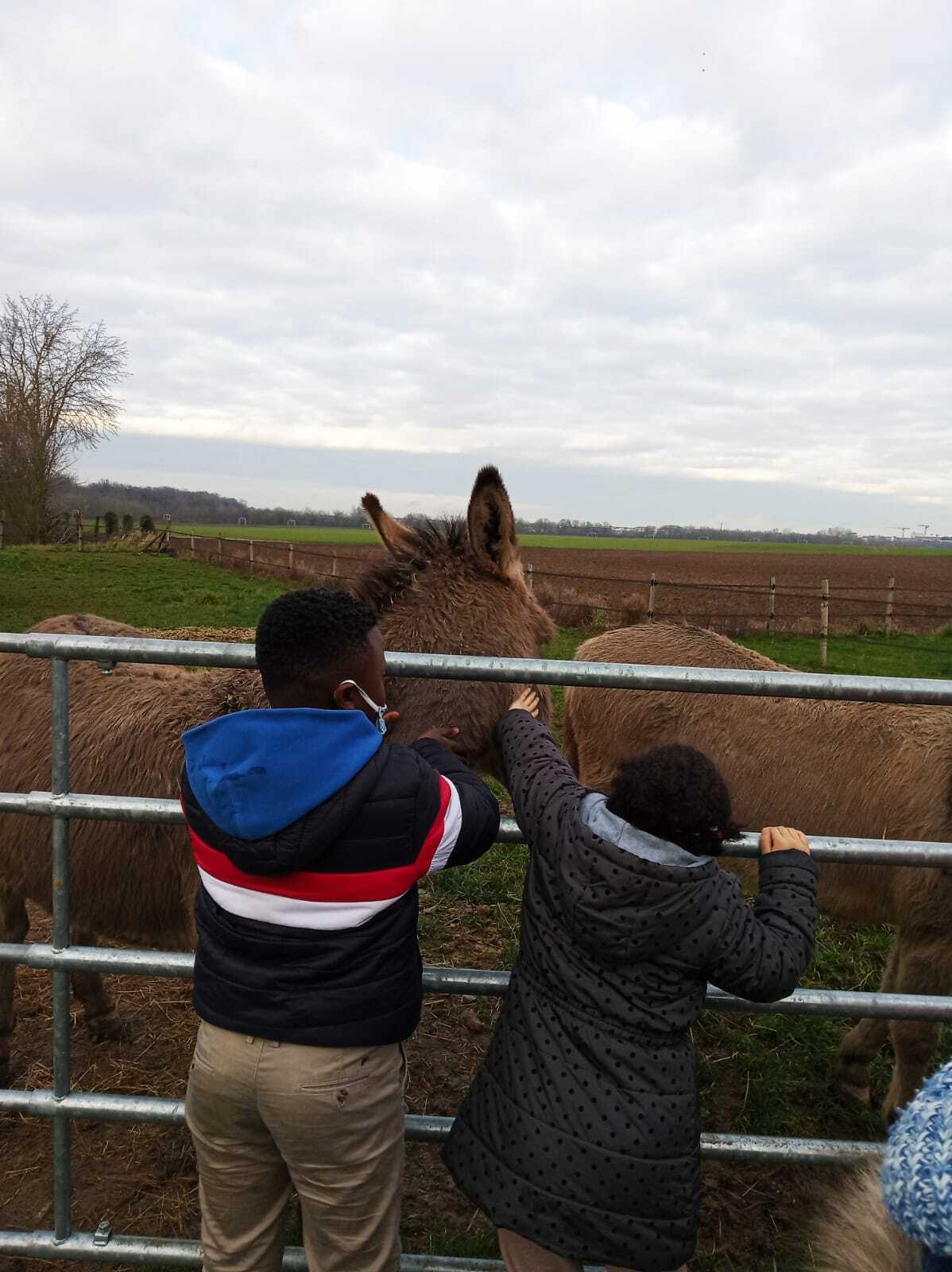 Equitation et classe verte