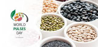 FAO chief highlights need to unlock potential of pulses to meet SDGs / FAO chief destaco la necesidad de desbloquear el potencial de legumbres para alcanzar Objetivos globales de Desarrollo Sustentable (SDGs)