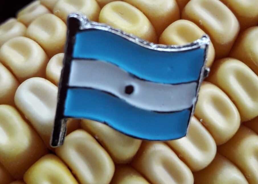 Overview of Agribusiness Industry in Argentina in 2019-20