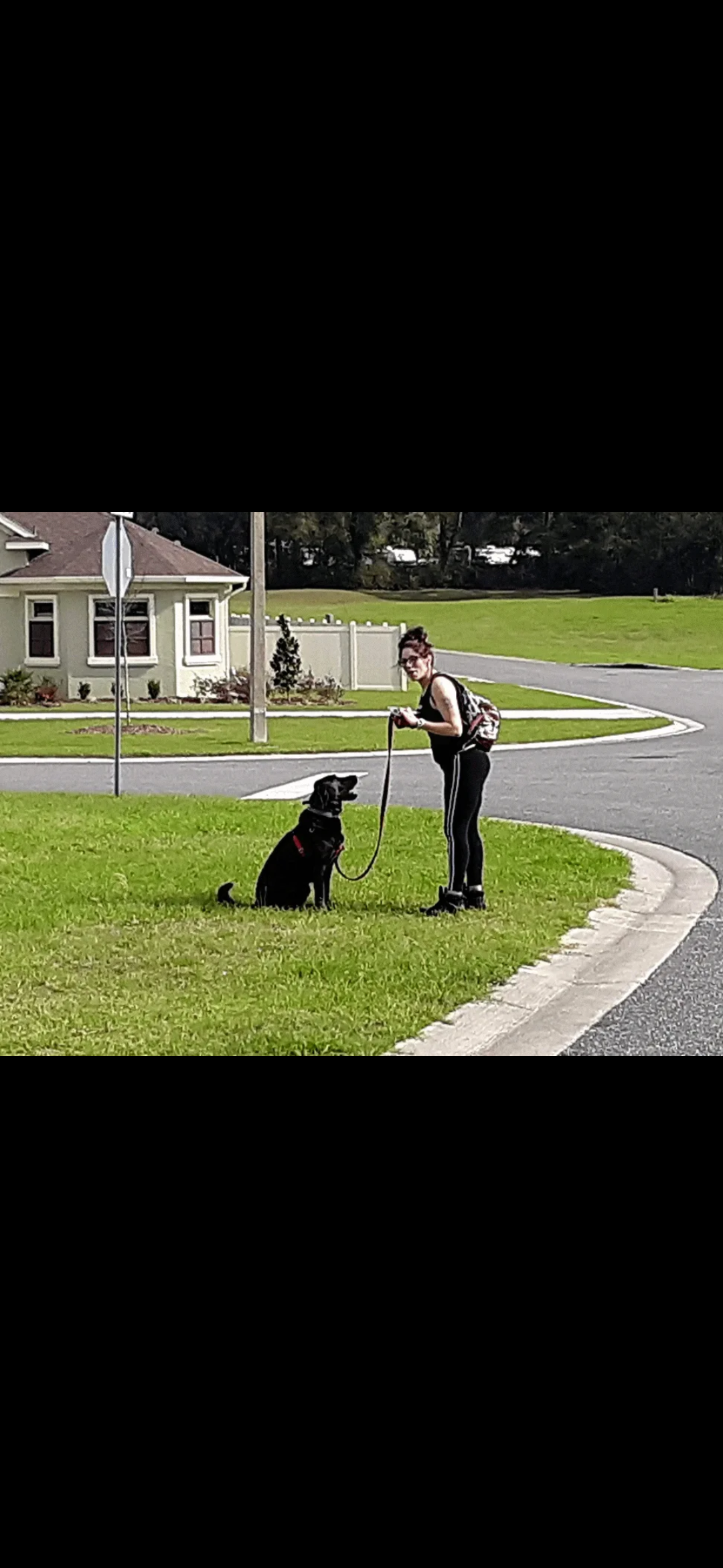 Doggone Sniffilicious Dog Care Services