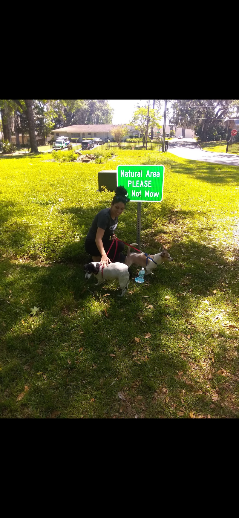 Doggone Sniffilicious Dog Care Services