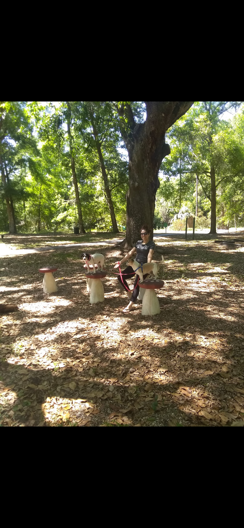 Doggone Sniffilicious Dog Care Services