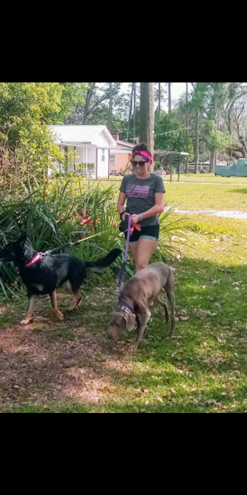 Doggone Sniffilicious Dog Care Services