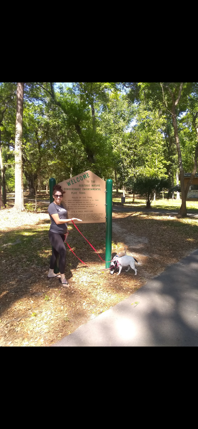 Doggone Sniffilicious Dog Care Services