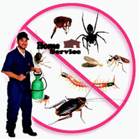 شركة مكافحة حشرات بمكة (للايجار) رش الصراصير البق العته بمكه المكرمه
