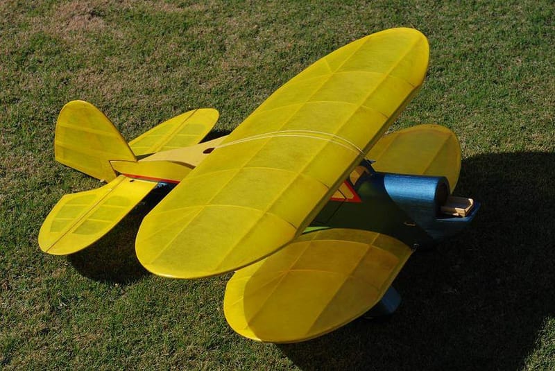 speedy bee rc plane